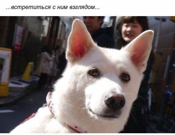     - 5