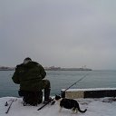  , , 60  -  29  2016     ,23.01.16.