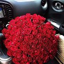 ���� Irina, ������ - ��������� 24 ������� 2016