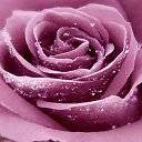 ���� Andrei, �������, 60 ��� - ��������� 13 ������ 2015 � ������ �����ۻ