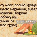 ���� Olta, �����-���������, 61 ��� - ��������� 12 ������ 2015 � ������ ������ ��������
