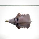  , , 50  -  11  2015   ƻ