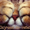 ���� ��������, �����-���������, 66 ��� - ��������� 12 ������� 2016 � ������ ������ ��������