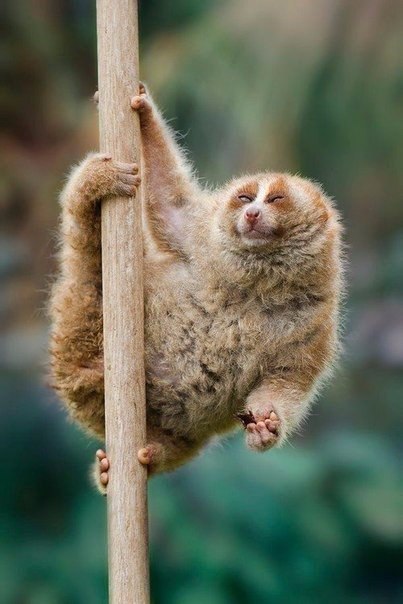  .#animal@travel.blog