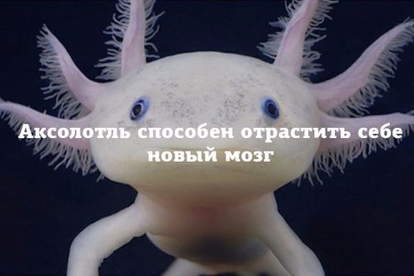   - 7  2016  17:19