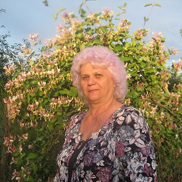 ���� �������, ������, 72 ���� - ��������� 8 ������ 2015