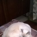 ���� ���������, �����-���������, 47 ��� - ��������� 15 ������� 2016 � ������ ���� �����