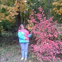 ���� ������, �����������, 68 ��� - ��������� 30 �������� 2015 � ������ ���� ����������