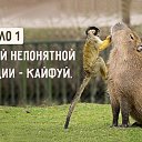   , - -  24  2015    