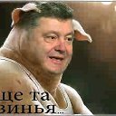 ���� ������, ���������� - ��������� 5 ������� 2015 � ������ ���� ��������