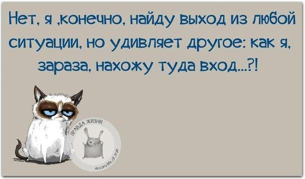  - 6  2016  15:13