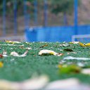 ���� �����, ������, 55 ��� - ��������� 11 ������� 2015 � ������ ���� ����������