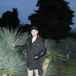 ���������, ������������, 48 ���