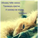 ���� ������, ������, 61 ��� - ��������� 28 �������� 2015