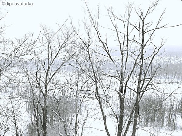 dipi-avatarka - 29  2016  19:13