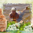 ���� �����, ���� - ��������� 29 �������� 2015 � ������ ���� ����������