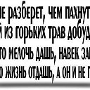 ���� �������, ����� - ��������� 28 ������ 2015 � ������ ������ ��������