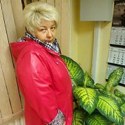 , 60 , 