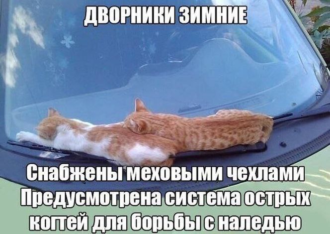  - 06.12.2015))) - 6