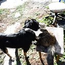 ���� ����, ����, 52 ���� - ��������� 25 ������ 2016 � ������ ���� ����������