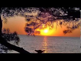 ������ ��� ����... ������... ��������...