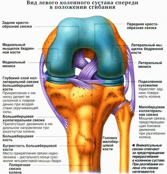 Украинец проверял свою жопу на прочность скачать бесплатно – Spaces