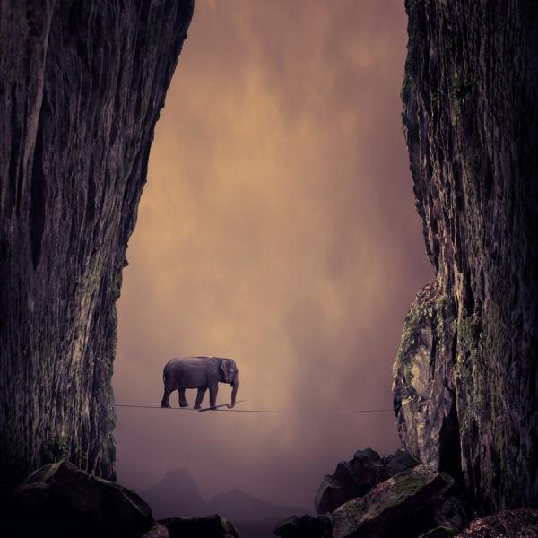    (Caras Ionut)..       ... - 12