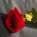 ���� �����, ������������, 50 ��� - ��������� 9 ������� 2015 � ������ ���� ����������