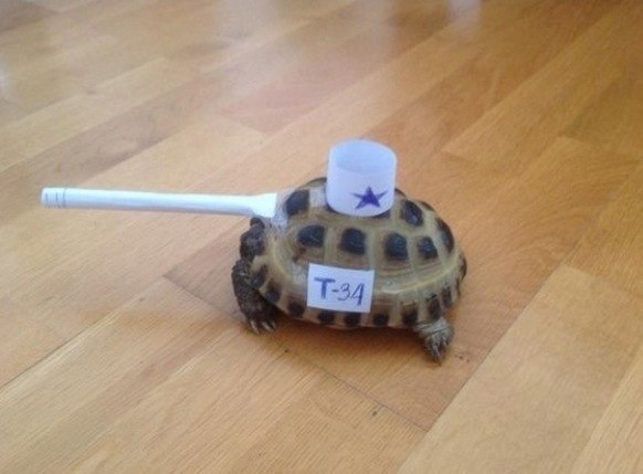 !        .
