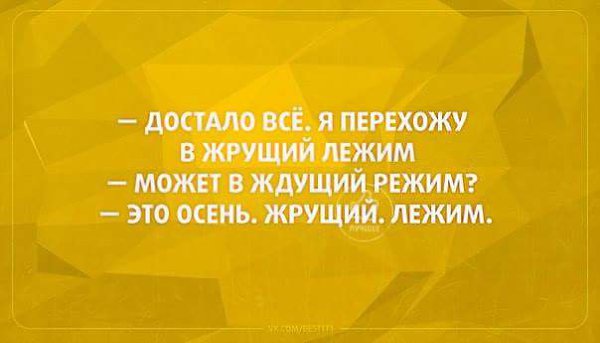   - 6  2016  13:04