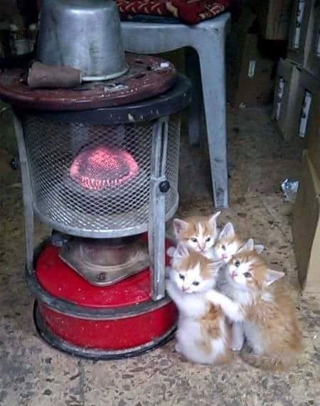 �������...