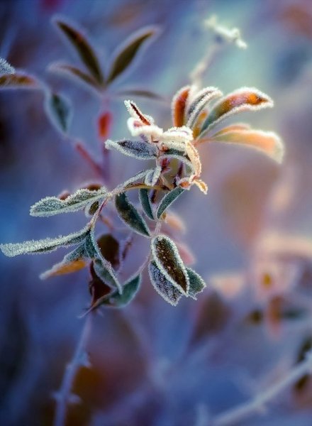 ����� ���� �����.. - 3 ����� 2016 � 22:53 - 3