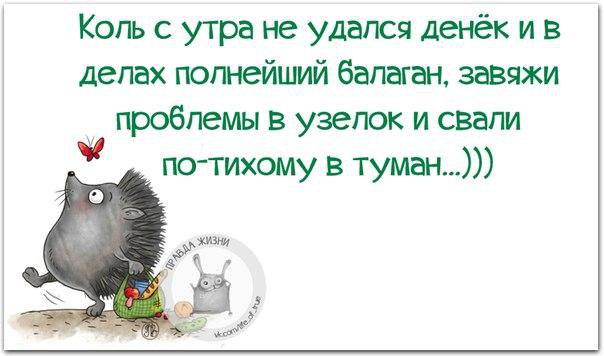   - 3  2016  20:46