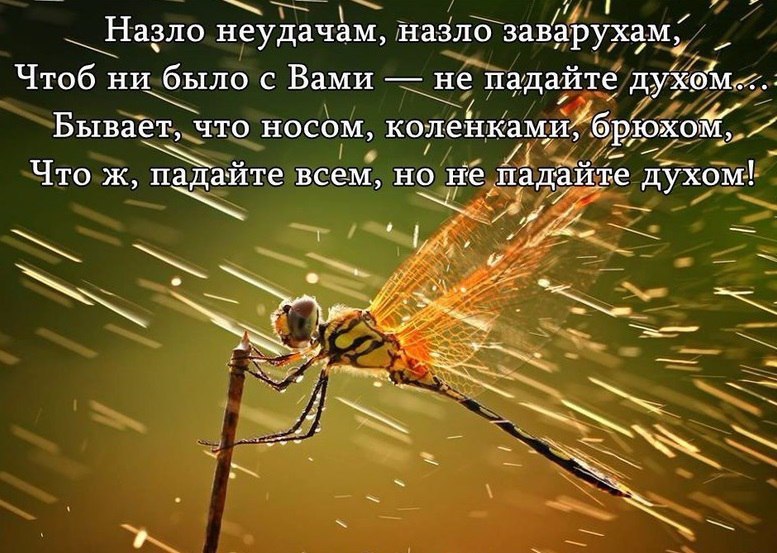 #@thebestjournal