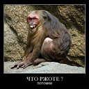 ���� �����, ���������, 47 ��� - ��������� 11 ������ 2016 � ������ ������ ��������