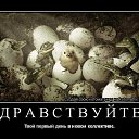 ���� �������, ��������, 38 ��� - ��������� 4 ������� 2015 � ������ ������ ��������
