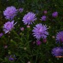 ��������� ������� �����. �� ������� ���� ����������