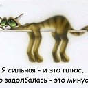  ,  -  23  2015    