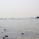 ���� ������, ���� - ��������� 5 ����� 2016 � ������ ���� ����������