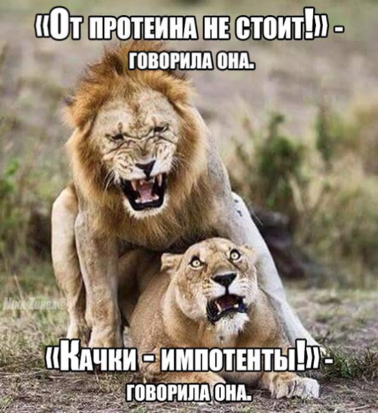SportFeed - 22  2015  08:14