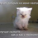 ���� ������, ������, 46 ��� - ��������� 27 ������� 2015 � ������ ���� ����������