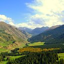 ���� ����� ����������, ������������, 49 ��� - ��������� 26 �������� 2015 � ������ ���� ����������