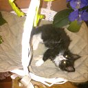 ���� ���������, ������, 59 ��� - ��������� 29 ������ 2015 � ������ ���� ����������