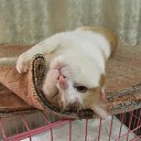   - 
   .  -    - 25 . , , .     &quot;&quot;,     (        ).  - .
        .  ,   .  ,      . ,  . . 
         