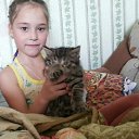  , , 40  -  18  2015      (2015)