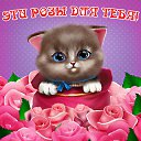 ���� �����, ��������� - ��������� 9 ������ 2015 � ������ �������� ��������