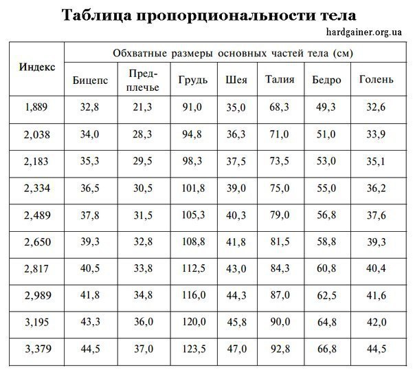Узнайте, насколько пропорционально ваше тело.Для расчета оптимальных параметров тела существует ...