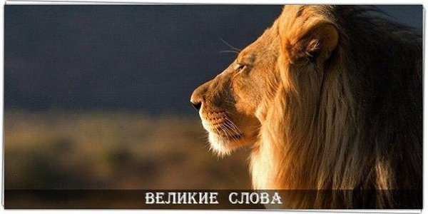 В спокойствии нет ни страха, ни излишнего гнева – только реальность, очищенная от искажений и помех ...