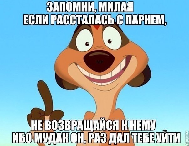   - 6  2015  18:00
