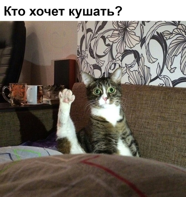      - 27  2015  22:01